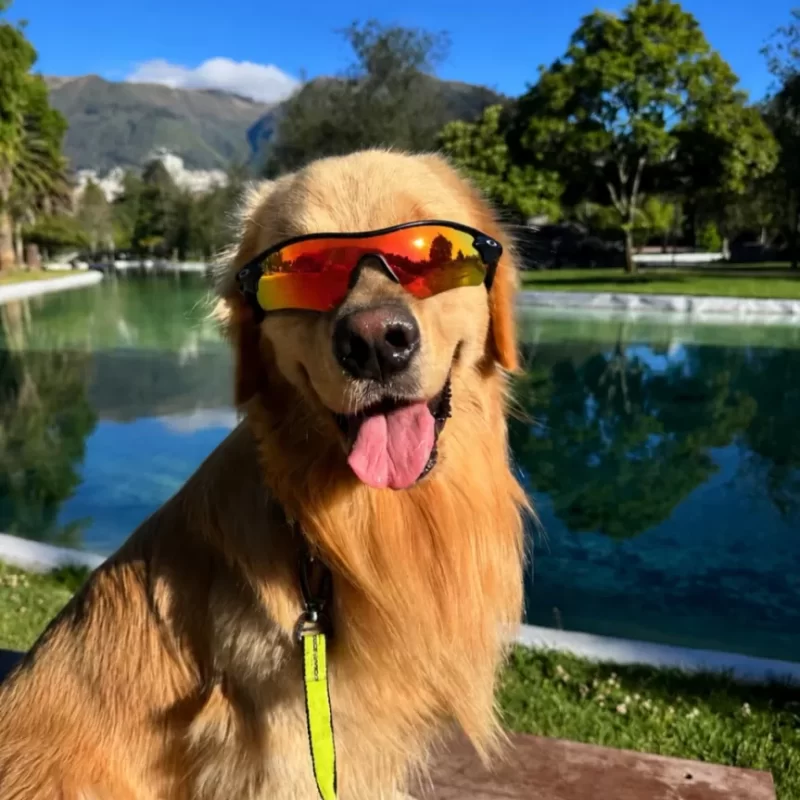 Patroclo el Patrón